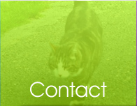 Contact RMS Vetinary Tables